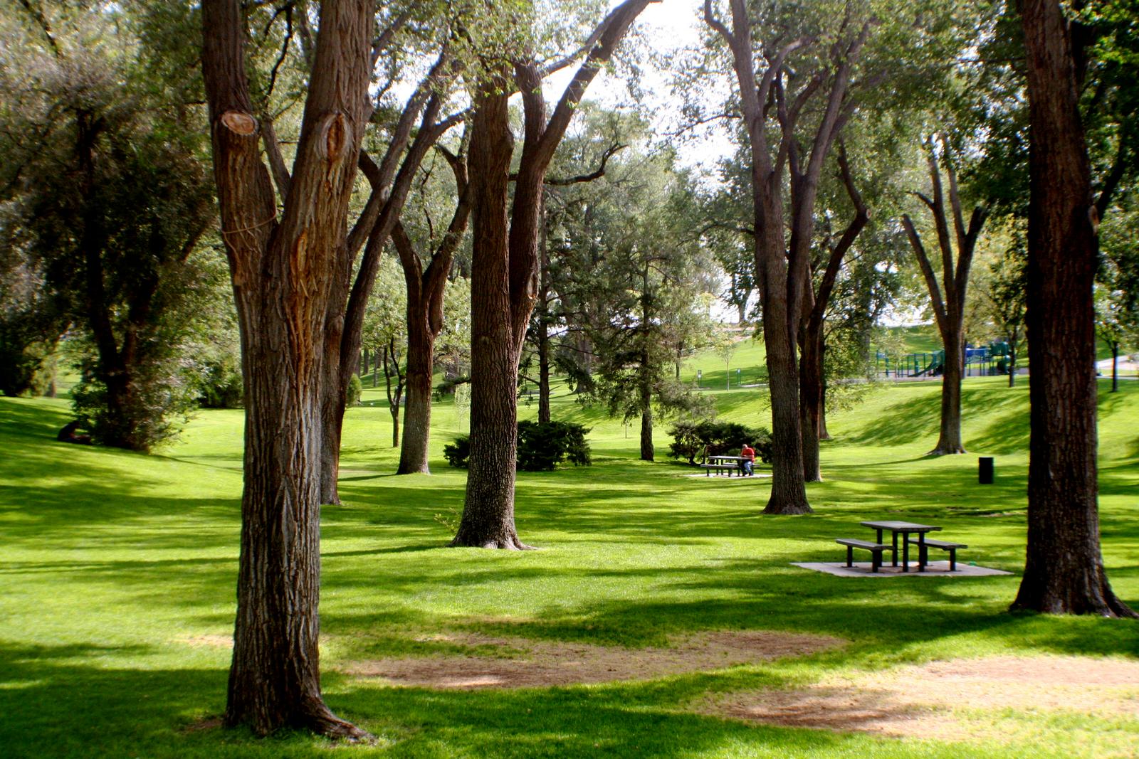 Parkrun Albuquerque: 2 Free Saturday 5K Locations